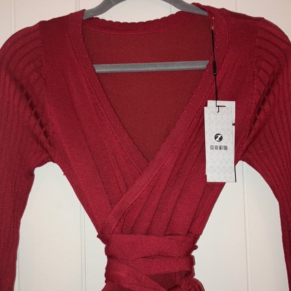 🍂 Gorgeous Autumn Red Pleated Sweater Dress NWT - Picture 2 of 7